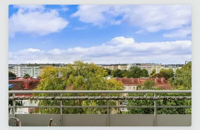 Küche; küchengeräte, holzboden, tageslicht, moderner stil