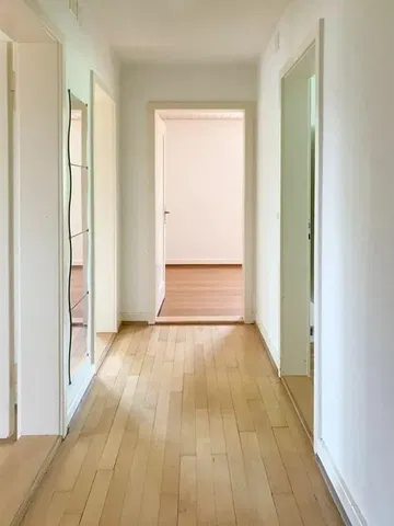 Küche; küchengeräte, holzboden, tageslicht, moderner stil