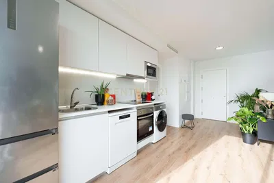 Keuken; keukenapparatuur, houten vloer, natuurlijk licht, moderne stijl