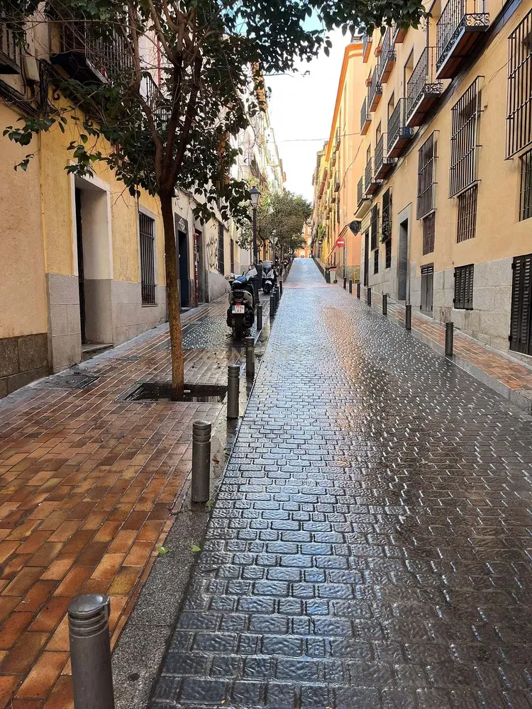 Keuken; keukenapparatuur, houten vloer, natuurlijk licht, moderne stijl