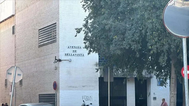 Kitchen; kitchen appliances, wood floor, natural light, modern style
