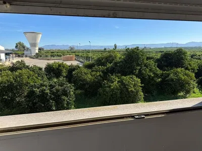 Wohnzimmer; holzboden, tageslicht, moderner stil