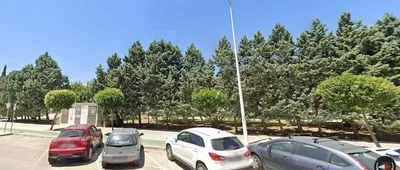 Oturma odası; ahşap zemin, doğal ışık, modern stil