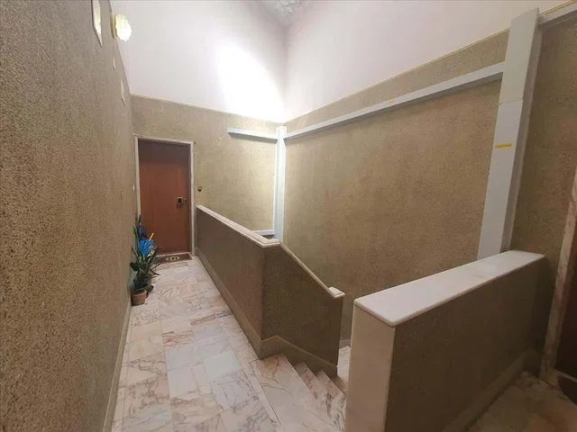 Kitchen; kitchen appliances, wood floor, natural light, modern style