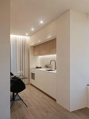 Kuchyně; kuchyňské spotřebiče, dřevěná podlaha, přirozené světlo, moderní styl