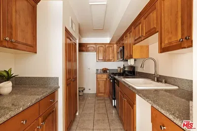 Kuchyně; kuchyňské spotřebiče, dřevěná podlaha, přirozené světlo, moderní styl