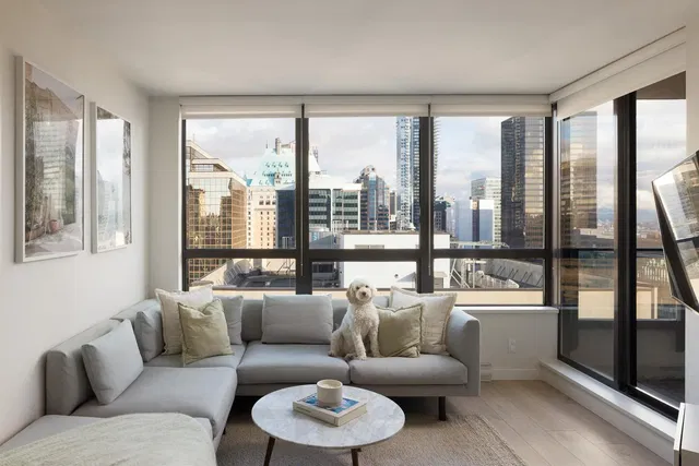 Κουζίνα; συσκευές κουζίνας, ξύλινο πάτωμα, φυσικό φως, μοντέρνο στυλ