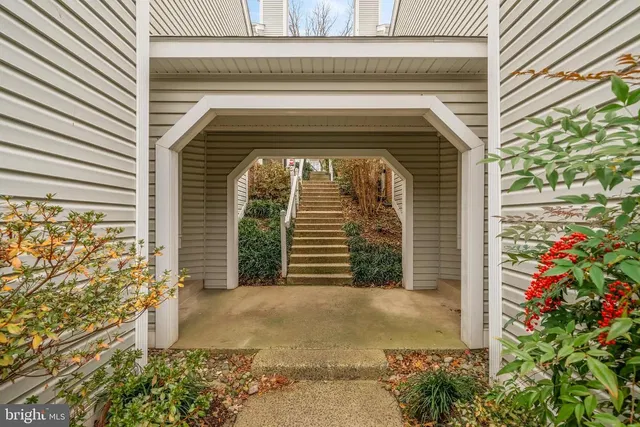 Kuhinja; kućanski aparati, drveni pod, prirodna svjetlost, moderan stil