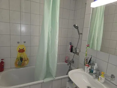 Küche; küchengeräte, holzboden, tageslicht, moderner stil