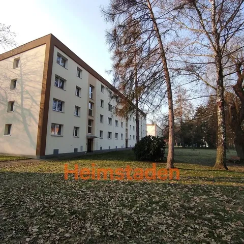 Хол; дървен под, естествена светлина, модерен стил