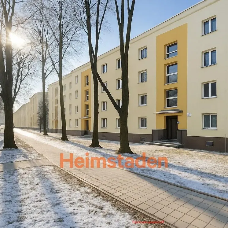 Кухиња; кухињски апарати, дрвени под, природно светло, модерни стил