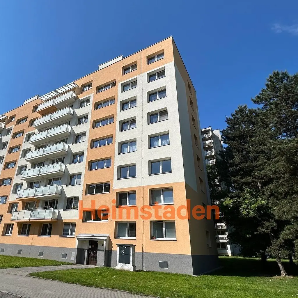 Küche; küchengeräte, holzboden, tageslicht, moderner stil