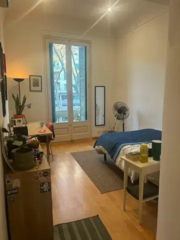 Küche; küchengeräte, holzboden, tageslicht, moderner stil