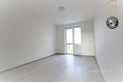 Kitchen; kitchen appliances, wood floor, natural light, modern style