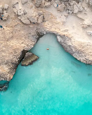 Kitchen; kitchen appliances, wood floor, natural light, modern style