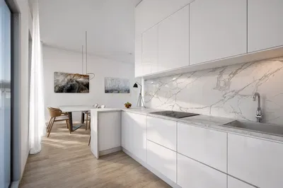 Kuhinja; kuhinjski aparati, drveni pod, prirodno svjetlo, moderni stil