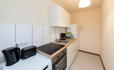 Kitchen; kitchen appliances, wood floor, natural light, modern style