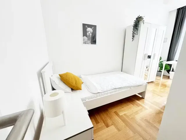 Küche; küchengeräte, holzboden, tageslicht, moderner stil