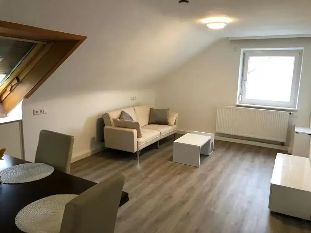 Cuisine; électroménager, parquet, lumière naturelle, style moderne