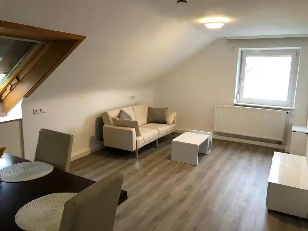 Cuisine; électroménager, parquet, lumière naturelle, style moderne