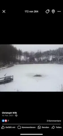 Küche; küchengeräte, holzboden, tageslicht, moderner stil