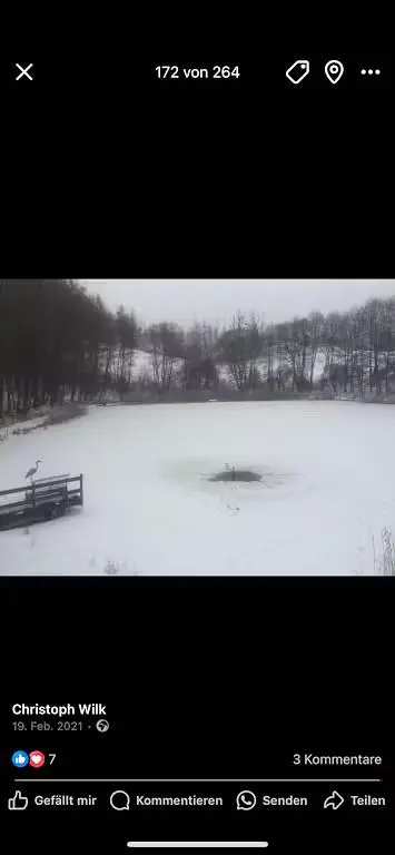 Kuchnia; sprzęt kuchenny, podłoga drewniana, światło dzienne, styl nowoczesny