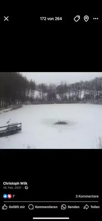 Kuchnia; sprzęt kuchenny, podłoga drewniana, światło dzienne, styl nowoczesny