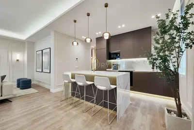 Kuchyňa; kuchynské spotrebiče, drevená podlaha, prirodzené svetlo, moderný štýl