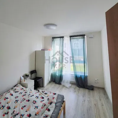 Kuchyně; kuchyňské spotřebiče, dřevěná podlaha, přirozené světlo, moderní styl