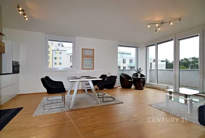 Кухня; кухненски уреди, дървен под, естествена светлина, модерен стил