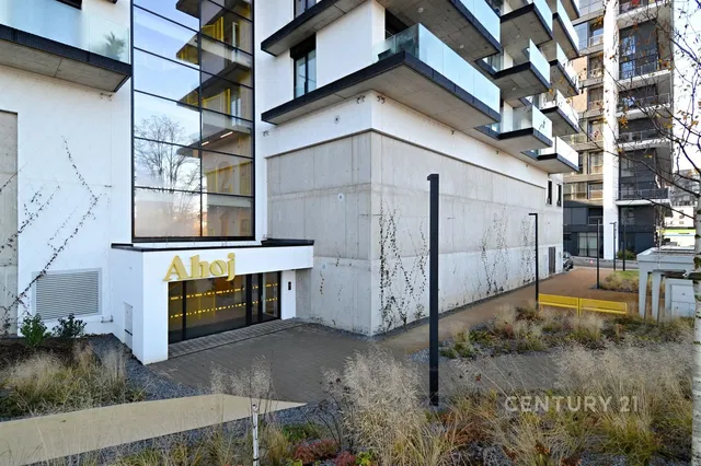 Кухня; кухненски уреди, дървен под, естествена светлина, модерен стил