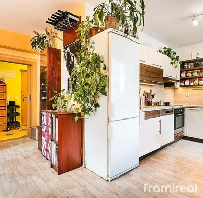 Kuhinja; kućanski aparati, drveni pod, prirodna svjetlost, moderan stil