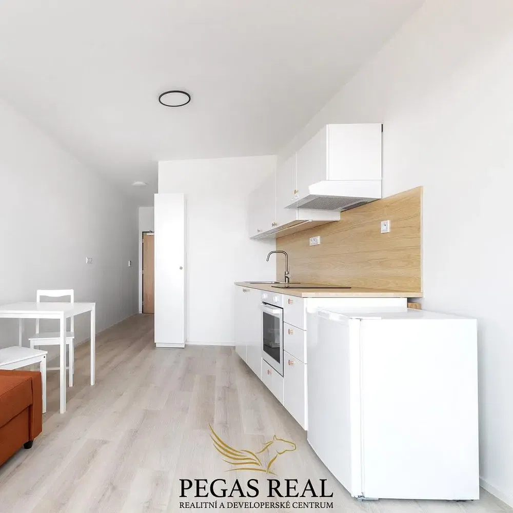 Kuchyňa; kuchynské spotrebiče, drevená podlaha, prirodzené svetlo, moderný štýl