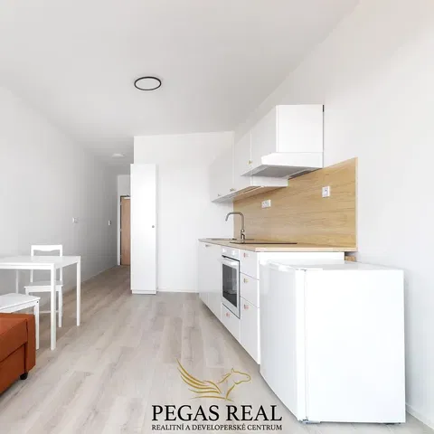 Кухня; кухненски уреди, дървен под, естествена светлина, модерен стил