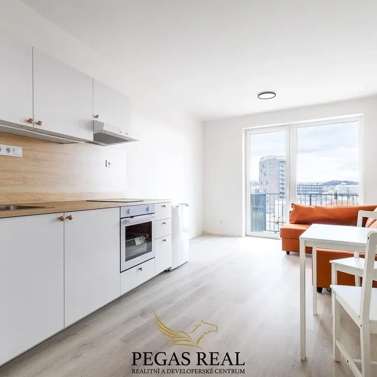 Kuchyňa; kuchynské spotrebiče, drevená podlaha, prirodzené svetlo, moderný štýl