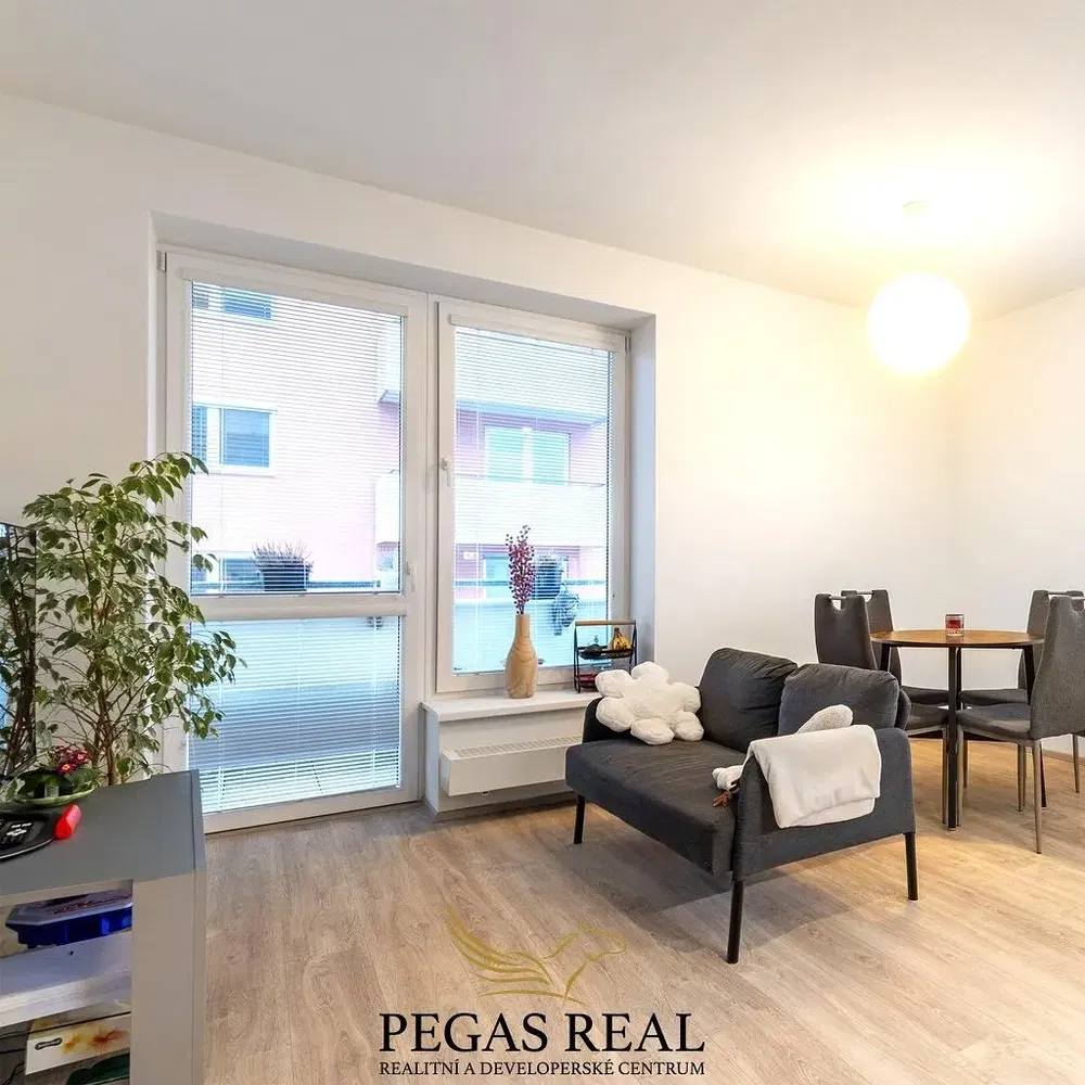 Kuchyňa; kuchynské spotrebiče, drevená podlaha, prirodzené svetlo, moderný štýl