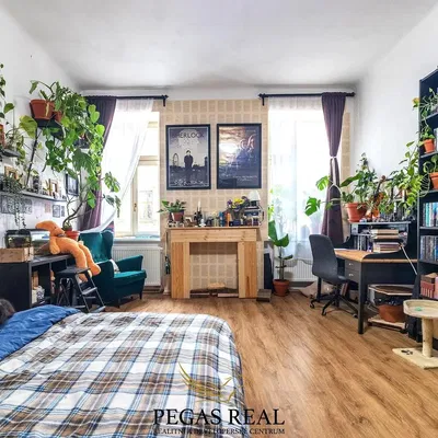 Kuchyňa; kuchynské spotrebiče, drevená podlaha, prirodzené svetlo, moderný štýl