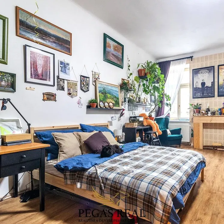 Kuchyňa; kuchynské spotrebiče, drevená podlaha, prirodzené svetlo, moderný štýl