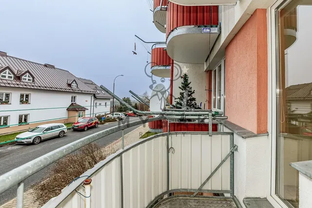 Living room; wood floor, natural light, modern style