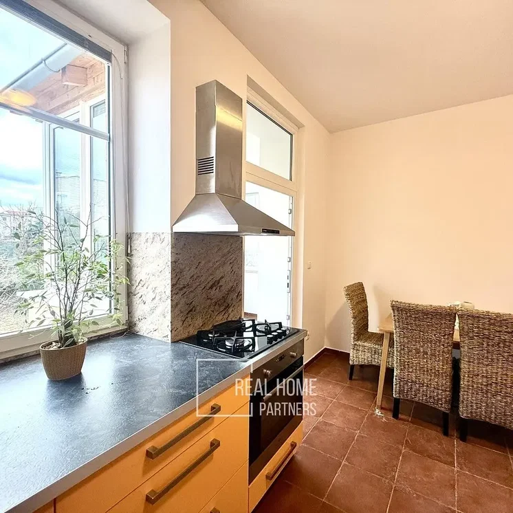 Kuhinja; kućanski aparati, pločice, prirodna svjetlost, moderan stil