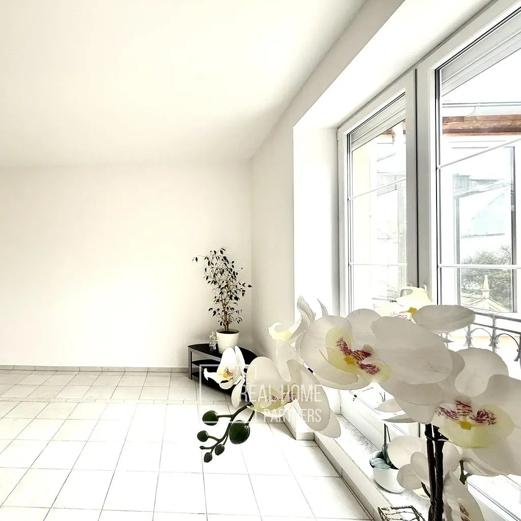 Mutfak; mutfak aletleri, ahşap zemin, doğal ışık, modern stil