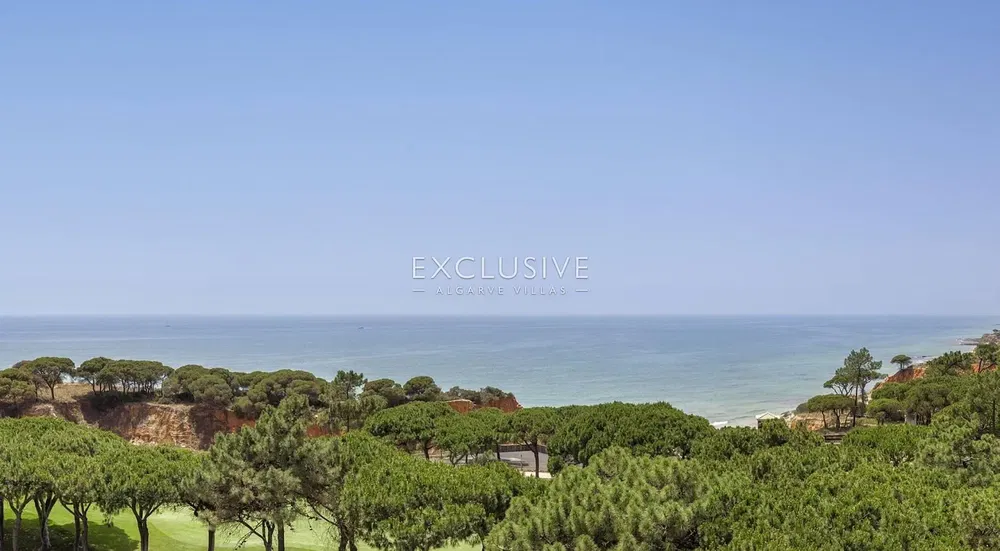 Küche; küchengeräte, holzboden, tageslicht, moderner stil