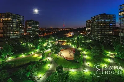 Кухня; кухненски уреди, дървен под, естествена светлина, модерен стил