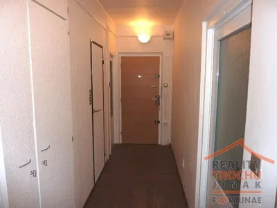 Kuchyňa; kuchynské spotrebiče, drevená podlaha, prirodzené svetlo, moderný štýl