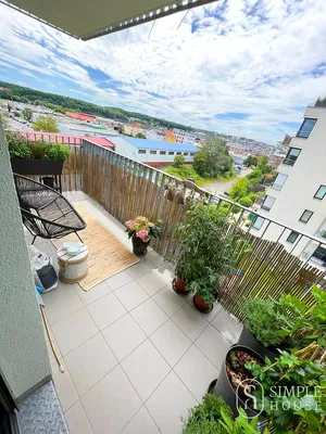 Хол; дървен под, естествена светлина, модерен стил