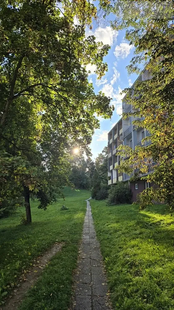 Кухня; кухненски уреди, дървен под, естествена светлина, модерен стил