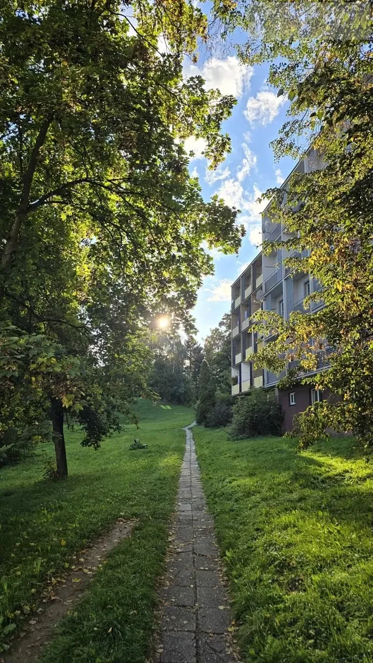 Кухня; кухненски уреди, дървен под, естествена светлина, модерен стил