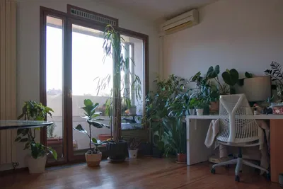 Кухня; кухненски уреди, дървен под, естествена светлина, модерен стил