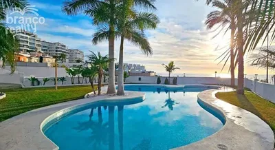Kitchen; kitchen appliances, wood floor, natural light, modern style