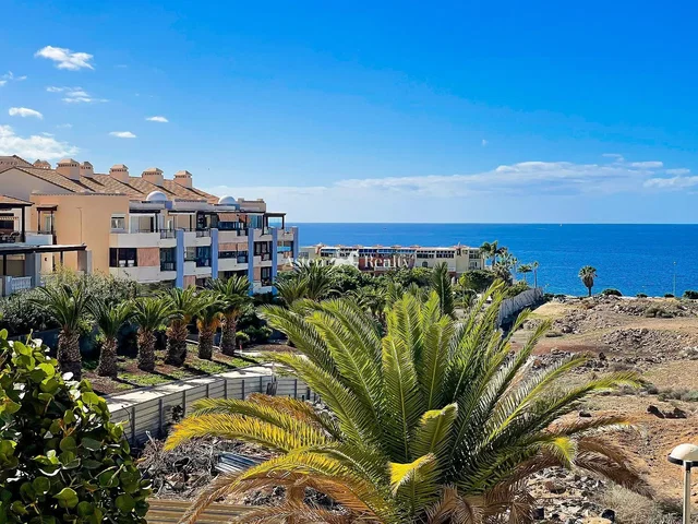 Kitchen; kitchen appliances, wood floor, natural light, modern style